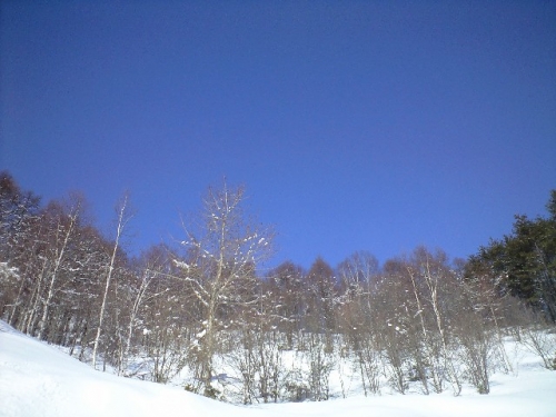 晴天に映える藍い空と白い雪の画像（1枚目）