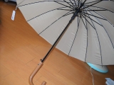 口コミ記事「傘は丈夫なのがいいよ〜♪」の画像