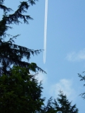 スカッとする青空に飛行機雲＆飛行機！！