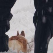 雪を駆ける