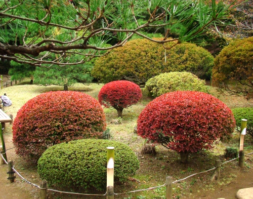 御饅頭？が3つに＼(^o^)／の画像（1枚目）