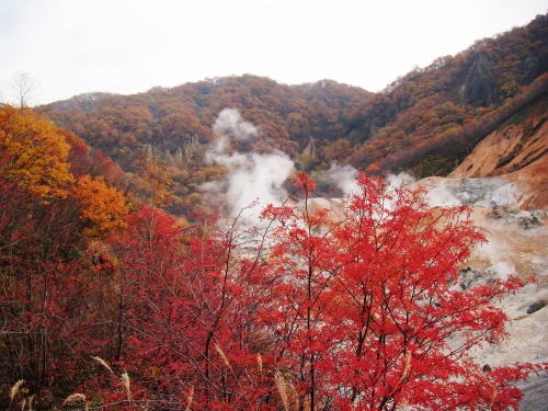 北海道登別地獄谷の紅葉の画像（1枚目）