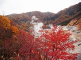 北海道登別地獄谷の紅葉