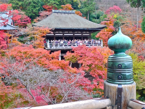 京都清水寺の紅葉の画像（1枚目）