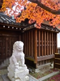 京都永観堂の紅葉２