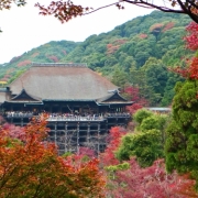 京都清水寺の紅葉２