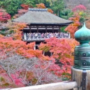京都清水寺の紅葉