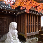 京都永観堂の紅葉２