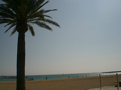 バルセロナと地中海の画像（1枚目）