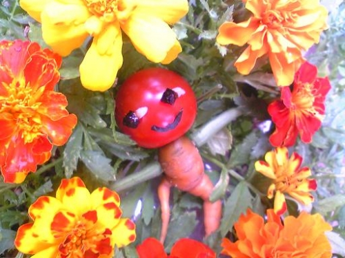 花と野菜にかこまれているときが一番の幸せな～～のだ・・・　　ｂｙ　トマト星人の画像（1枚目）