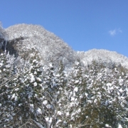 雪景色