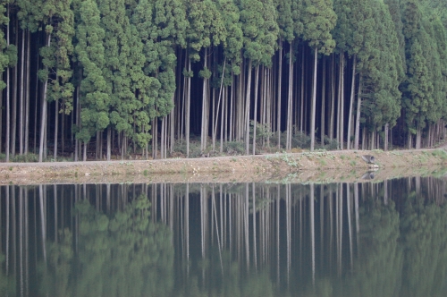 鏡の湖の画像（1枚目）