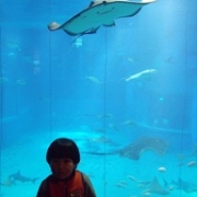 水族館でリフレッシュ☆