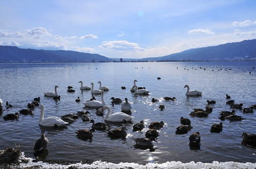 長野県諏訪湖の画像（1枚目）