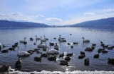 長野県諏訪湖