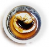 「【コーヒーエキス】を使ったアレンジコーヒーレシピ」の画像