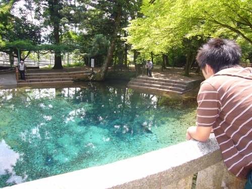 湧き水の画像（1枚目）