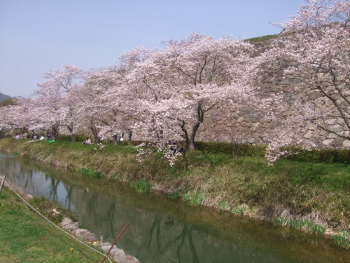 篠山城の画像（1枚目）