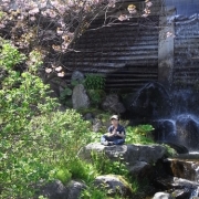 「修行」【クリンスイ】～水のある風景～　写真テーマ「花と水」の投稿画像