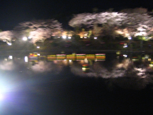 夜桜の画像（1枚目）