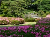 皇居の庭園