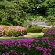 「皇居の庭園」【クリンスイ】～水のある風景～　写真テーマ「花と水」の投稿画像