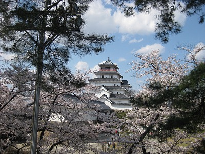 去年のGWに行った福島の桜の画像（1枚目）