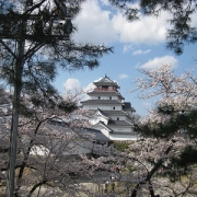 去年のGWに行った福島の桜