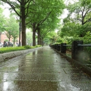 雨の日の横浜