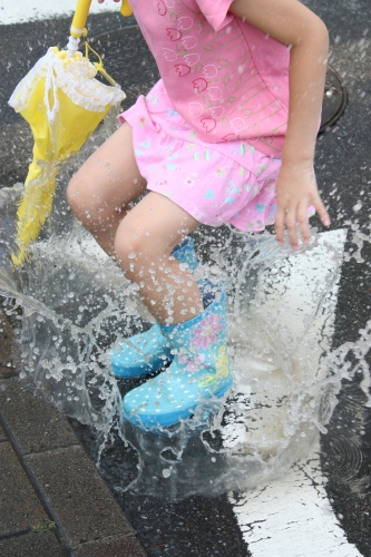 雨上がりの楽しみの画像（1枚目）