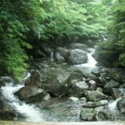 「屋久島の水」【クリンスイ】～水のある風景～　写真テーマ「きれいな水」の投稿画像