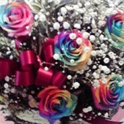 虹色のバラで――アンジェ11周年おめでとうございます☆