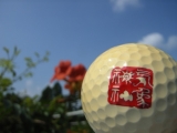 [2回目のレポート]紫外線で色が変わるゴルフボール「空と太陽と変化球」の画像（1枚目）