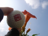 「[2回目のレポート]紫外線で色が変わるゴルフボール「空と太陽と変化球」」の画像
