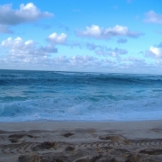 「ノースショアの海」【クリンスイ】～水のある風景～　写真テーマ「海」の投稿画像