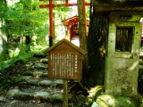 口コミ：滝尾神社を散策の画像（7枚目）