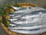 口コミ記事「トロ秋刀魚」の画像
