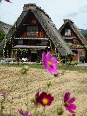 世界遺産白川郷の画像（1枚目）