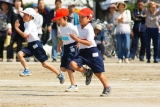 「運動会」の画像（1枚目）