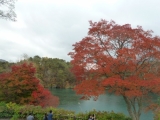 「真っ赤な葉と青い沼」の画像（1枚目）