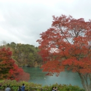 真っ赤な葉と青い沼