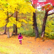 「わぁ〜❤」C1000と楽しもう！秋を感じる紅葉の写真大募集！の投稿画像