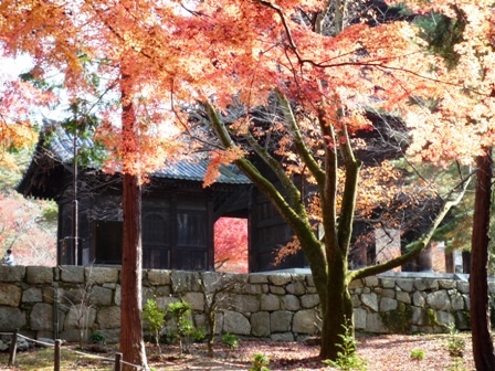 京都、南禅寺の紅葉の画像（1枚目）