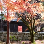 京都、南禅寺の紅葉