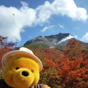 「紅葉」【オールインワンゲル青じゅるの田舎家】あなたが撮影した★秋を感じる写真★大募集♪の投稿画像