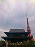 「東京タワーと増上寺」の画像（1枚目）