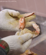 口コミ：衝撃的な身の甘さ☆濃厚な蟹味噌に感動☆北海道の毛がにの画像（9枚目）