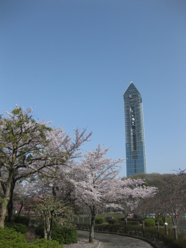 春の東山スカイタワーの画像（1枚目）