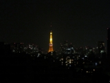「やっぱり東京のシンボル」の画像（1枚目）