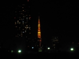 「東京タワー」の画像（1枚目）